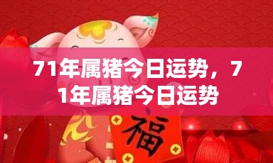 71年属猪人今日运势详解
