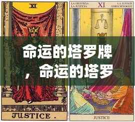 星象指引的未来，命运塔罗牌的揭秘与走向分析