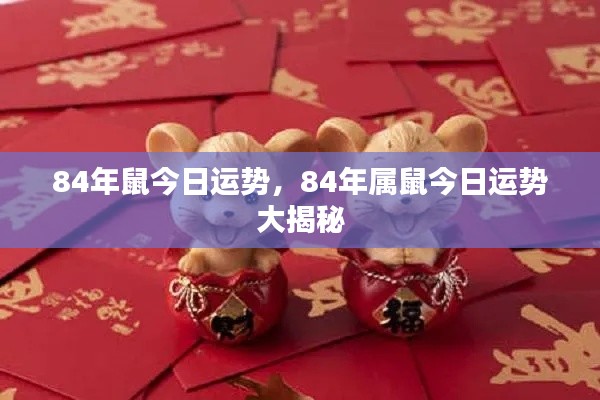 84年属鼠今日运势揭秘，全面解析你的运势大解密