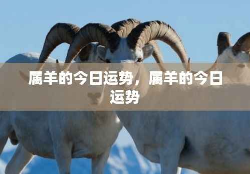 威风凛凛 第6页