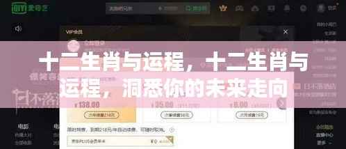 十二生肖与运程，揭秘生肖运势，洞悉未来走向