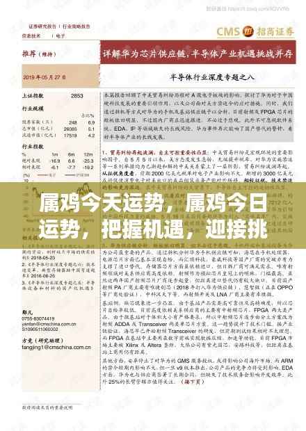 笼中之鸟 第5页