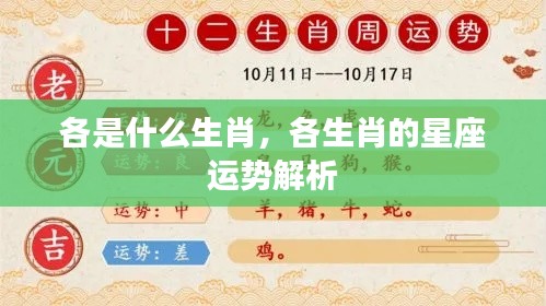 龙飞九五 第5页