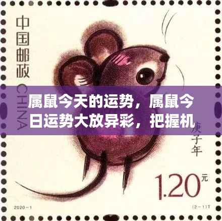 集腋成裘 第4页