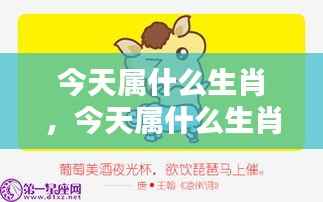 今日生肖运势揭秘，全面解析今日生肖运势！