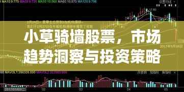 小草骑墙股票，市场趋势洞察与投资策略揭秘