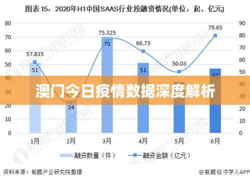 澳门今日疫情数据深度解析