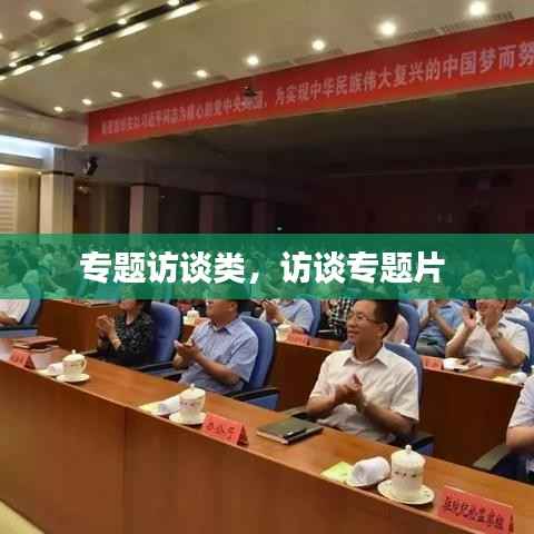 专题访谈类，访谈专题片 