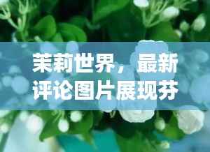 茉莉世界，最新评论图片展现芬芳魅力